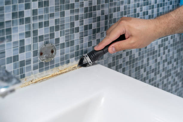 Trusted Melrose Park, NY Mold Removal Experts